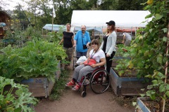 Treffen im Sommer