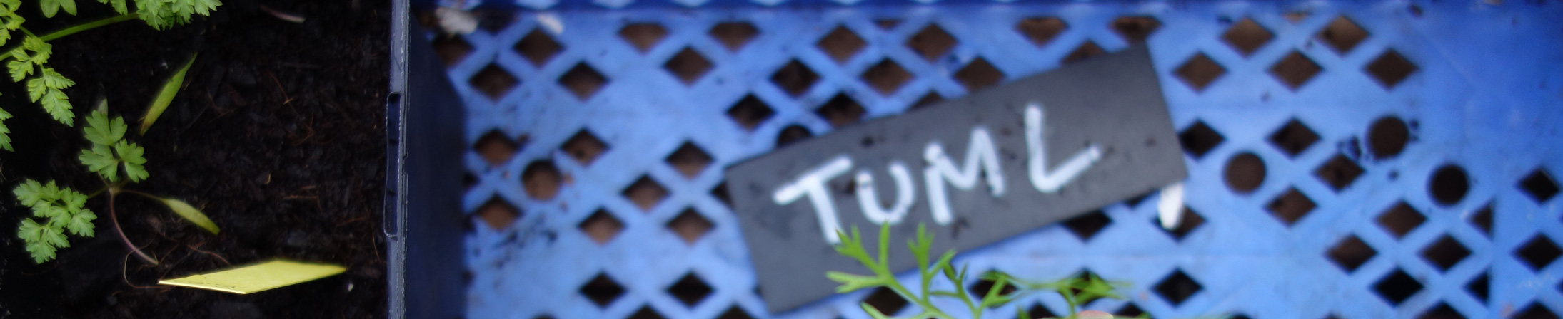 Banner mit einer blauen Kunstoff-Box, in der ein Schild mit der Aufschrift "Tuml" liegt und ein Topf mit Setzlingen steht.
